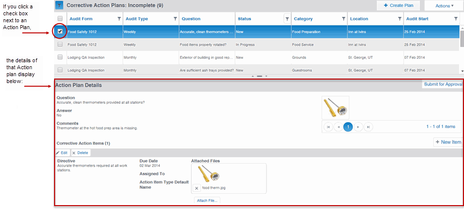 Action Plan Details