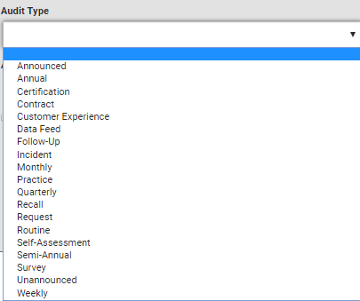 Drop-down list of Audit Types