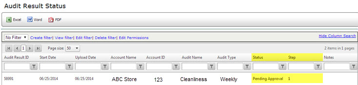 Audit Result Status grid