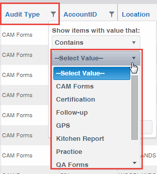 Filter for Audit Type or Audit Form