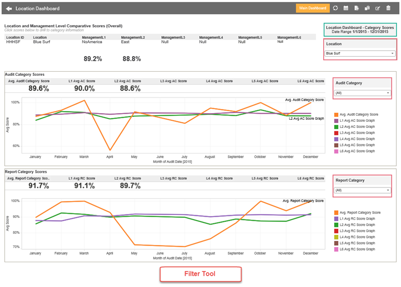 View by Audit and Report Categories