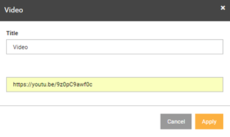 Customize the video widget